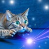 星空趣看